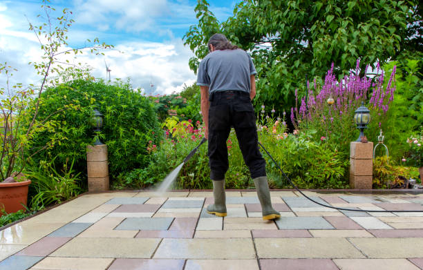 Best Animal Enclosure Cleaning  in Maywood, CA